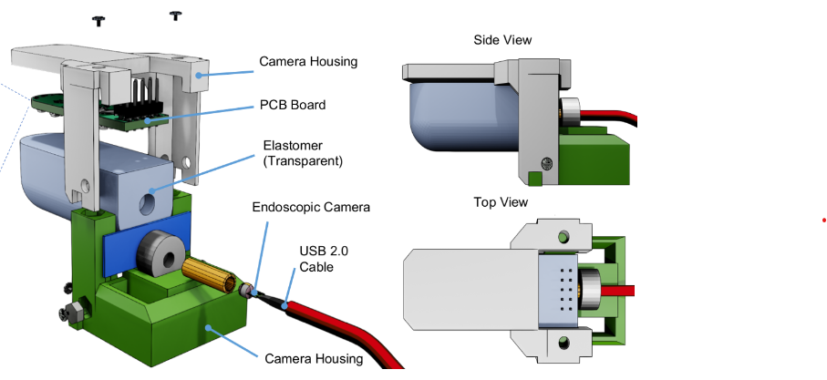 HumanFT: A Human-Like Fingertip Multimodal Visuo-Tactile Sensor